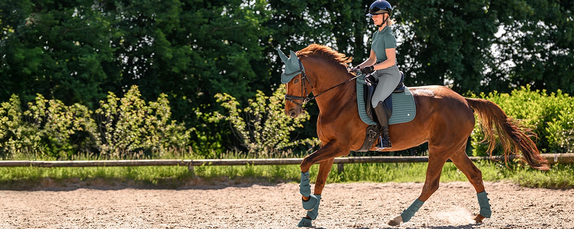 Key Account Manager Polen (m/w/d), 3. Bild